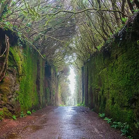 Apartman Oasis Brisa Marina *