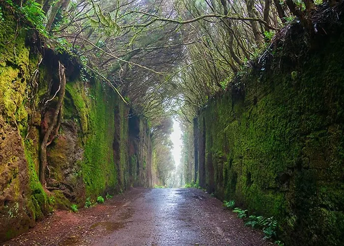 아파트 Oasis Brisa Marina *